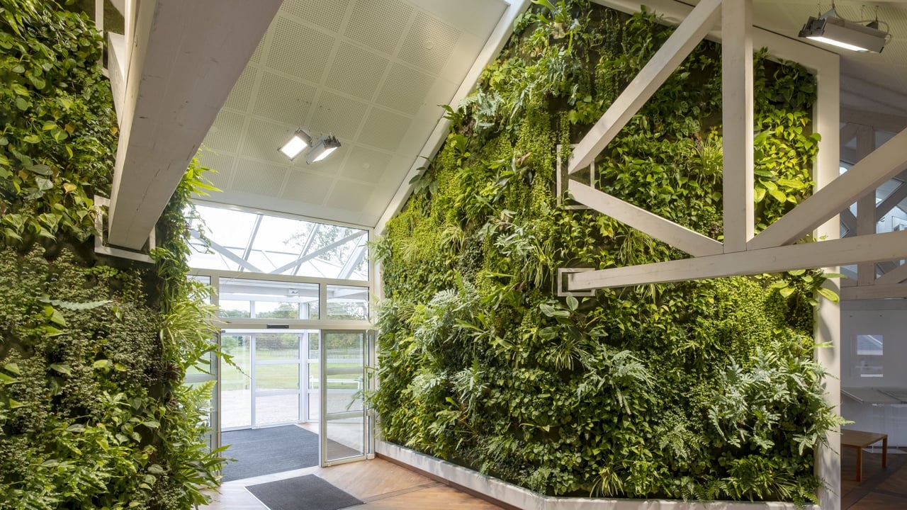 Heller-Eingangsbereich-bei-Depesche-Deutschland-mit-lebenden-gruenen-Waenden-eingefasst-in-weissen-Balken-aus-Corian