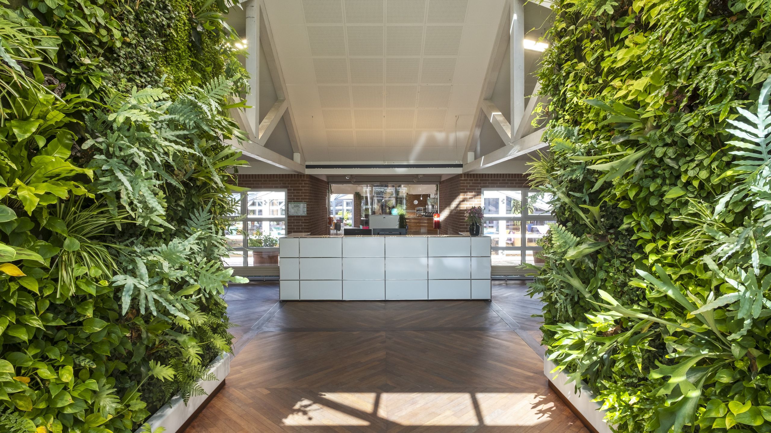 grüne-pflanzen-wandverkleidung-für-das-entree