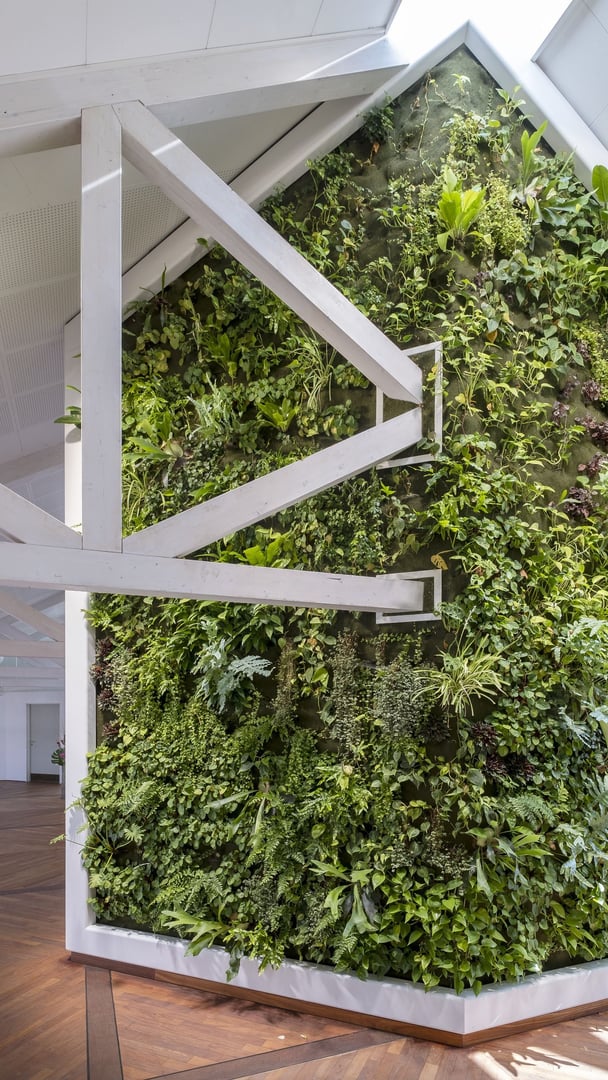 Lebende-gruene-Wand-ueber-Eck-mit-weissen-Querbalken-und-Rahmen-aus-weissem-Corian-gefertigt-von-Hasenkopf-bei-Depesche-Deutschland-im-Hochformat