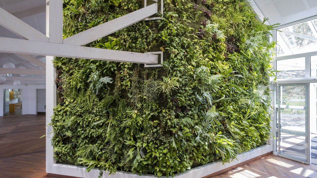 Lebende-gruene-Wand-ueber-Eck-mit-weissen-Querbalken-und-Rahmen-aus-weissem-Corian-gefertigt-von-Hasenkopf-bei-Depesche-Deutschland-im-Querformat