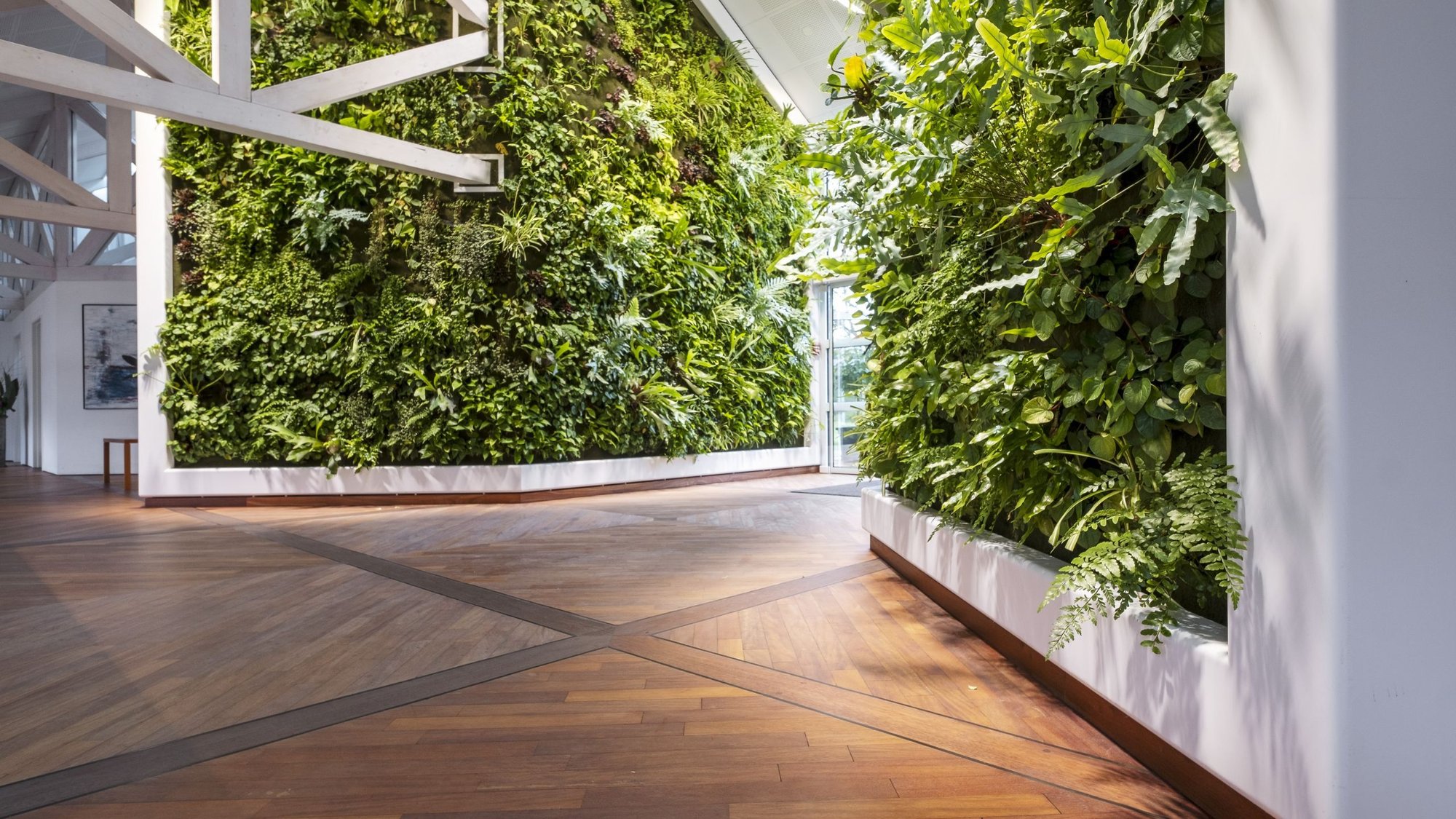 Weitwinkelaufnahme-des-Eingangsbereiches-bei-Depesche-umrahmt-von-lebenden-gruenen-Waenden-und-dem-Corian-Rahmen-und-Holzparkett Weitwinkelaufnahme-des-Eingangsbereiches-bei-Depesche-umrahmt-von-lebenden-gruenen-Waenden-und-dem-Corian-Rahmen-und-Holzparkett